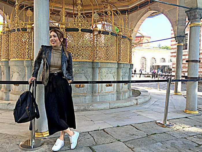 monoclu simona preda